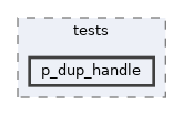 modules/rostests/tests/p_dup_handle